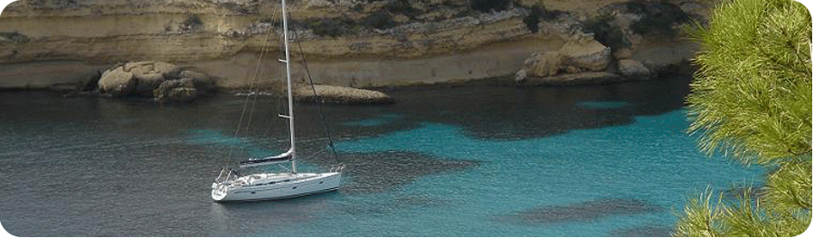 Excursión Bahía de Palma